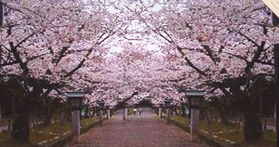 惠州汤泉生态旅游渡假村 惠州汤泉生态旅游渡假村