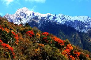 雅安东拉山大峡谷 雅安东拉山大峡谷