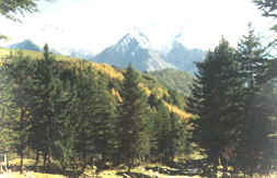雅安夹金山 雅安夹金山