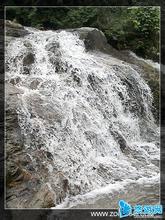 惠州叫水坑原始森林 惠州叫水坑原始森林