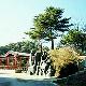 三门峡甘山森林公园天气